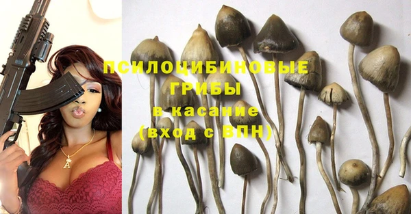 бошки Алексеевка