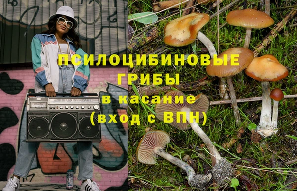 бошки Алексеевка